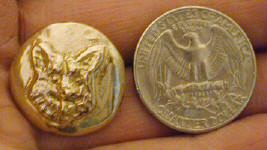 Corgi Button, frontal with quarter