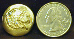 Dogue de Bordeaux Button with Quarter for scale