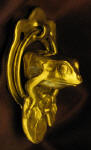 Frog Small Door Knocker, side view