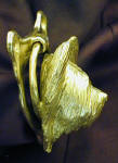 Skye Terrier Door Knocker, side view