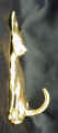 Chihuahua, smooth hook, side view