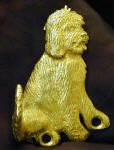 Goldendoodle Hook