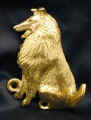 Rough Collie, profile