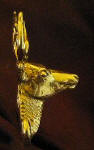 Whitetail Buck Deluxe! Finger Pull, side view