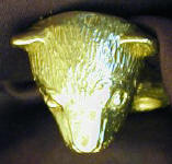 Ferret Deluxe! Finger Pull, top view