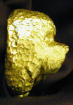 Bichon Frise (pet clip) Deluxe! Finger Pull, side view