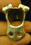 Smooth Fox Terrier Deluxe! Finger Pull, back view
