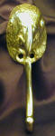 African Grey Parrot Head Hook