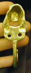 Italian Spinone J Hook, back view