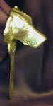 Weimaraner Letter Opener, side view