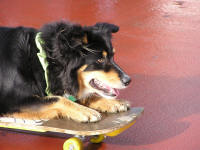 Cally skateboarding, close up