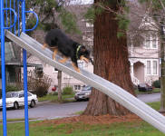 Cally on the BIG slide