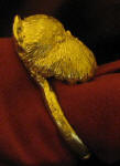 Burssels Griffon, cropped ears, Napkin Ring. side view