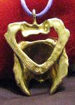 Sheltie Ornament, back view