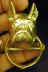 Boxer, cropped ears, Scarf Ring, in hand