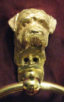 Norfolk Terrier Large Towel Ring, close up