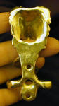 Border Collie Wall Mounted Bottle Opener, back view
