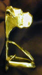 Boxer, natural ears, Wall Mounted Bottle Opener, side view